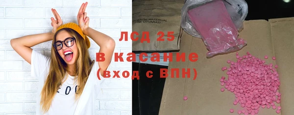 прущие грибы Зеленокумск