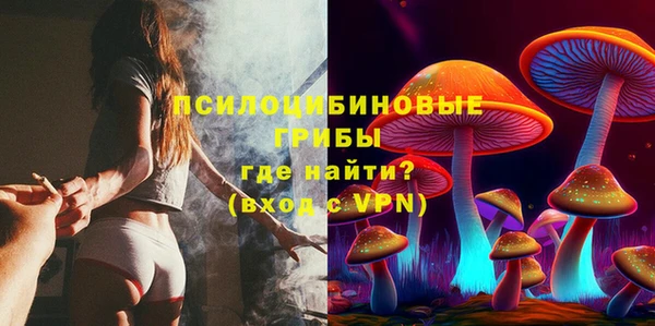 apvp Алзамай