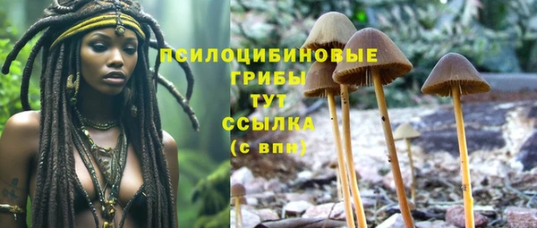 apvp Алзамай