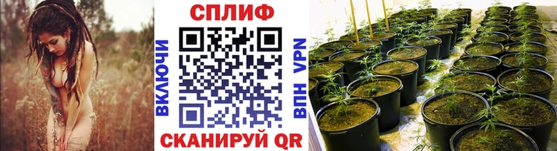 Шишки марихуана планчик Алексеевка